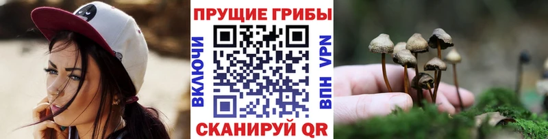Псилоцибиновые грибы прущие грибы Кизилюрт
