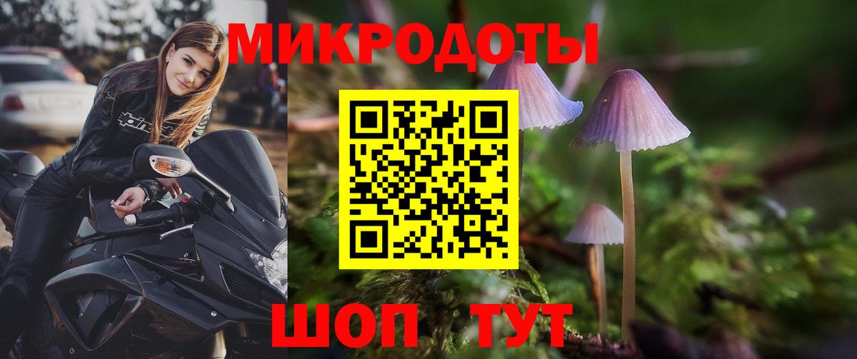 Кизилюрт  Псилоцибиновые грибы MAGIC MUSHROOMS  Вход с VPN 